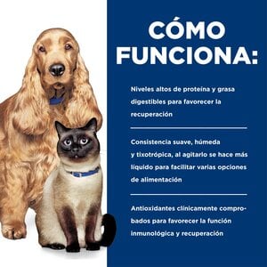 Hill's Prescription Diet a/d Alimento Húmedo de Recuperación para Perro y Gato, 156 g