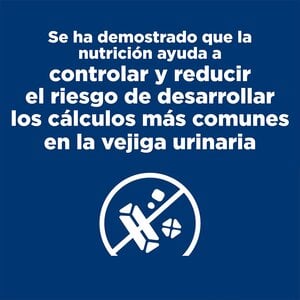 Hill's Prescription Diet c/d Alimento Húmedo Cuidado Urinario para Perro Adulto Receta Pollo en Paté, 370 g