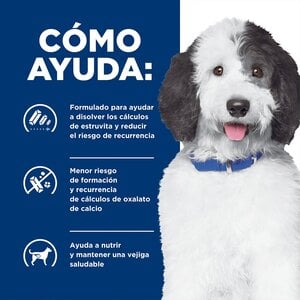 Hill's Prescription Diet c/d Alimento Húmedo Cuidado Urinario para Perro Adulto Receta Pollo en Paté, 370 g