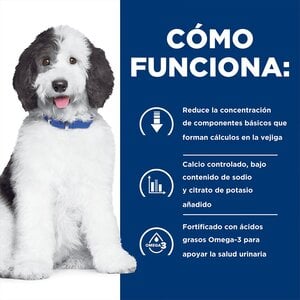 Hill's Prescription Diet c/d Alimento Húmedo Cuidado Urinario para Perro Adulto Receta Pollo en Paté, 370 g