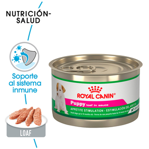 Royal Canin Puppy Alimento Húmedo para Cachorro Raza Pequeña, 150 g
