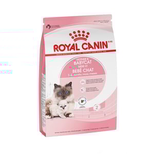 Royal Canin Mom & BabyCat Alimento Seco para Gestación / Lactancia o Destete para Gato, 1.3 kg Royal Canin Mom & BabyCat Alimento Seco para Gestación / Lactancia o Destete para Gato, 1.3 kg
