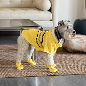 Youly Impermeable Color Amarillo para Perro, Mediano Youly Impermeable Color Amarillo para Perro, Mediano