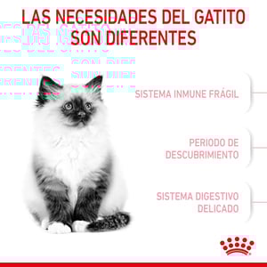 Royal Canin Kitten Alimento Seco para Gatito Receta Pollo, 3.1 kg