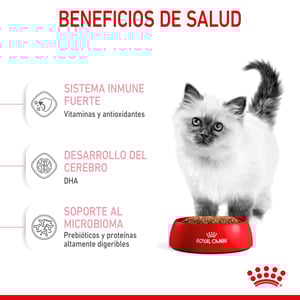 Royal Canin Kitten Alimento Seco para Gatito Receta Pollo, 3.1 kg