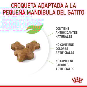 Royal Canin Kitten Alimento Seco para Gatito Receta Pollo, 3.1 kg