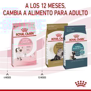 Royal Canin Kitten Alimento Seco para Gatito Receta Pollo, 3.1 kg