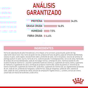 Royal Canin Kitten Alimento Seco para Gatito Receta Pollo, 3.1 kg