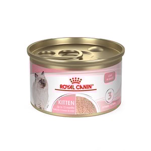 Royal Canin Alimento Húmedo para Gatito Hasta los 12 Meses, 145 g Royal Canin Alimento Húmedo para Gatito Hasta los 12 Meses, 145 g