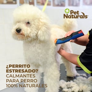 Pet Naturals Masticables Calmantes para Perro Razas Medianas y Grandes