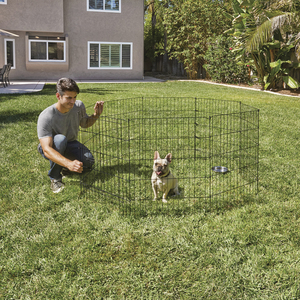 EveryYay Corral de Ejercicio Ajustable de Acero Color Negro para Perro, Mediano