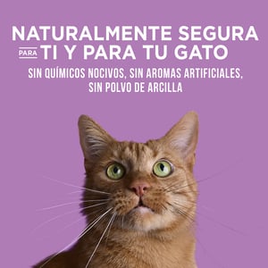 World's Best Lavender Scent Arena Natural Aglutinante Fragancia de Lavanda para Hogares Multigato, 12.7 kg