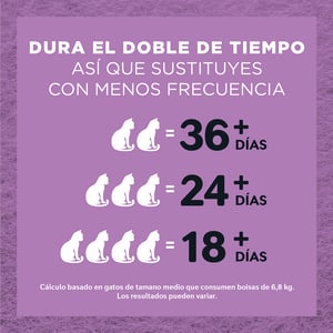 World's Best Lavender Scent Arena Natural Aglutinante Fragancia de Lavanda para Hogares Multigato, 12.7 kg