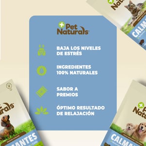 Pet Naturals Calmantes Naturales Masticables para Gato, 21 Piezas