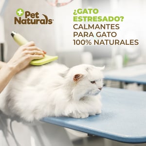 Pet Naturals Calmantes Naturales Masticables para Gato, 21 Piezas