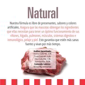 Livelong Healthy & Strong Alimento Natural Húmedo para Perro Todas las Edades Receta Bisonte, 354 g