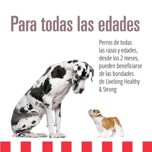 Livelong Healthy & Strong Alimento Natural Húmedo para Perro Todas las Edades Receta Bisonte, 354 g
