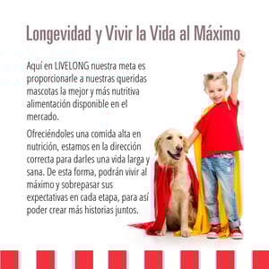 Livelong Healthy & Strong Alimento Natural Húmedo para Perro Todas las Edades Receta Bisonte, 354 g