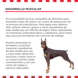 Livelong Healthy & Strong Alimento Natural Húmedo para Perro Todas las Edades Receta Bisonte, 354 g