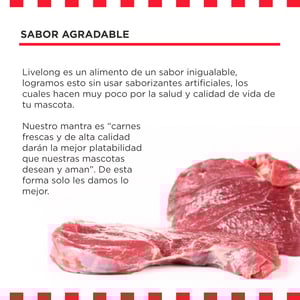 Livelong Healthy & Strong Alimento Natural Húmedo para Perro Todas las Edades Receta Bisonte, 354 g