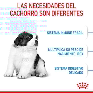 Royal Canin Alimento Seco para Cachorro Raza Gigante de 2 a 24 Meses, 13.6 kg