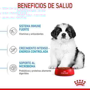 Royal Canin Alimento Seco para Cachorro Raza Gigante de 2 a 24 Meses, 13.6 kg