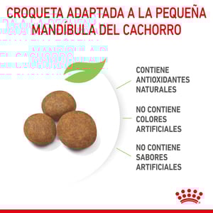 Royal Canin Alimento Seco para Cachorro Raza Gigante de 2 a 24 Meses, 13.6 kg