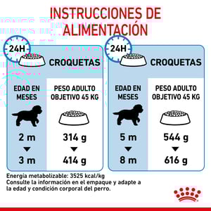 Royal Canin Alimento Seco para Cachorro Raza Gigante de 2 a 24 Meses, 13.6 kg