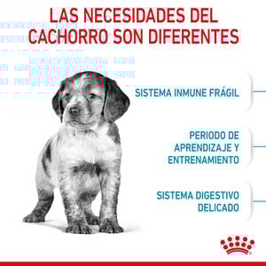 Royal Canin Alimento Seco para Cachorro Raza Mediana, 13.6 kg