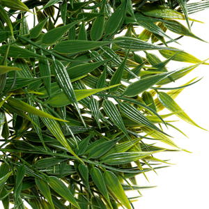 Zoo Med Natural Bush Bamboo de Madagascar de Decoración para Terrario, Mediana