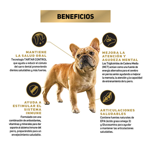 Pro Plan Active Mind Optiage Alimento para Perro Senior Raza Pequeña Receta Pollo, 1 kg