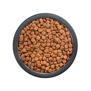 Pro Plan Active Mind Optiage Alimento para Perro Senior Raza Pequeña Receta Pollo, 7.5 kg
