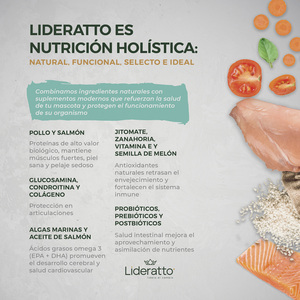 Lideratto Alimento Natural Holístico para Cachorro Raza Mediana/Grande Receta Pollo y Salmón, 15 kg