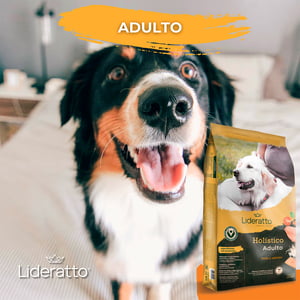 Lideratto Alimento Natural para Perro Adulto Raza Mediana / Grande Receta Pollo y Salmón, 15 kg