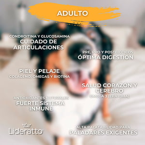 Lideratto Alimento Natural para Perro Adulto Raza Mediana / Grande Receta Pollo y Salmón, 15 kg