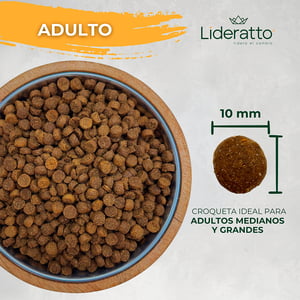 Lideratto Alimento Natural para Perro Adulto Raza Mediana / Grande Receta Pollo y Salmón, 15 kg