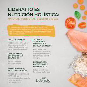 Lideratto Alimento Natural para Perro Adulto Raza Mediana / Grande Receta Pollo y Salmón, 15 kg