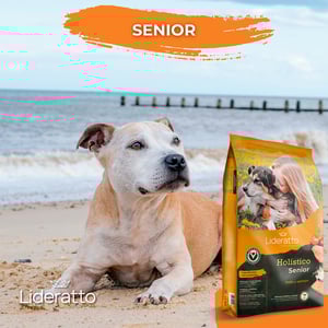 Lideratto Alimento Natural para Perro Senior Raza Mediana / Grande Receta Pollo y Salmón, 15 kg