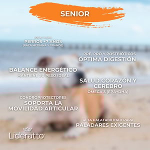 Lideratto Alimento Natural para Perro Senior Raza Mediana / Grande Receta Pollo y Salmón, 15 kg