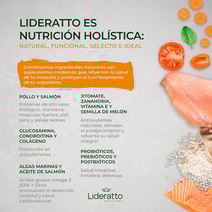 Lideratto Alimento Natural para Perro Senior Raza Mediana / Grande Receta Pollo y Salmón, 15 kg