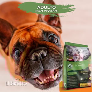 Lideratto Alimento Natural para Perro Adulto Raza Pequeña Receta Pollo y Salmón, 8 kg