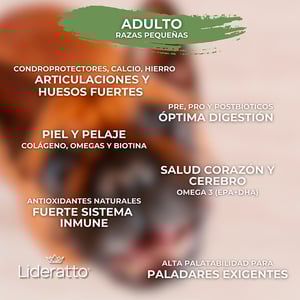 Lideratto Alimento Natural para Perro Adulto Raza Pequeña Receta Pollo y Salmón, 8 kg