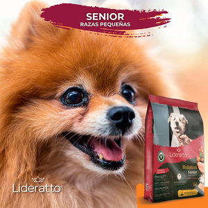 Lideratto Alimento Natural para Perro Senior Raza Pequeña Receta Pollo y Salmón, 8 kg