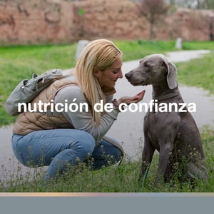 FullTrust Alimento para Perro Adulto Raza Mediana/Grande Receta Pollo y Res, 20 kg