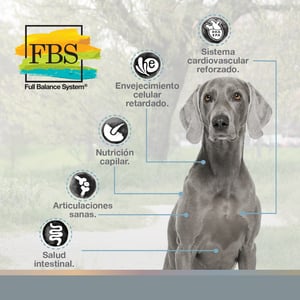 FullTrust Alimento para Perro Adulto Raza Mediana/Grande Receta Pollo y Res, 20 kg