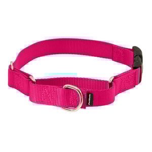 Petsafe Collar Martingale con Broche de Liberación Rápida Color Rosa para Perro, Grande Petsafe Collar Martingale con Broche de Liberación Rápida Color Rosa para Perro, Grande
