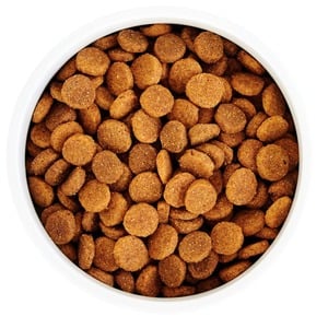 WholeHearted Healthy Benefits Alimento Natural para Perro Adulto Cuidado de Piel/Pelo Receta Salmón y Chícharo, 2.2 kg