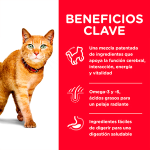 Hill's Science Diet Senior Vitality Alimento Seco para Gato Senior Receta Pollo, 1.4 kg