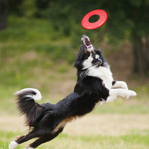 Nerf Dog Frisbee Atomic Flyer Color Rojo para Perro, Mediano