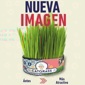 Un Dos Treats Catgrass Kit de Germinación para Pasto de Trigo para Gato